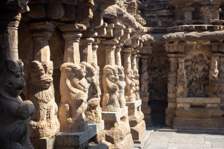 Die Säulen des Kailasanathar Tempels werden auch als Kailasanatha Tempel, Kanchipuram, Tamil Nadu, Indien bezeichnet. Es ist ein historischer hinduistischer Tempel aus der Pallava-Ära.