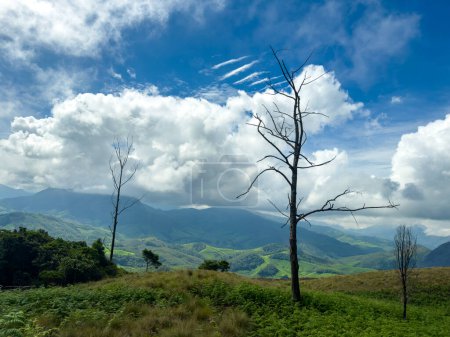 Hermosa vista del paisaje desde el Parque Nacional Eravikulam situado en las colinas de Kannan Devan, cerca de Munnar. Se encuentra en el Devikulam Taluk del distrito de Idukki en Kerala.