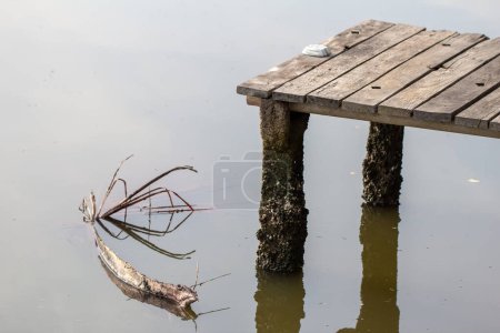 Wooden platform along kochi backwaters for boarding a canoe or a boat in the indian state of Kerala. Kochi (also known as Cochin) is a coastal city with lot of backwaters area.