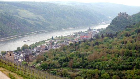 View from a hillside vineyards slopping toward the Rhine River, the town of Oberwesel and riverbend in the background below, Germany - May 5, 2022