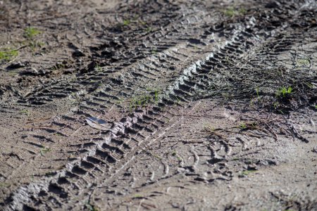 Photo for Tire tracks on a muddy road in November - Royalty Free Image