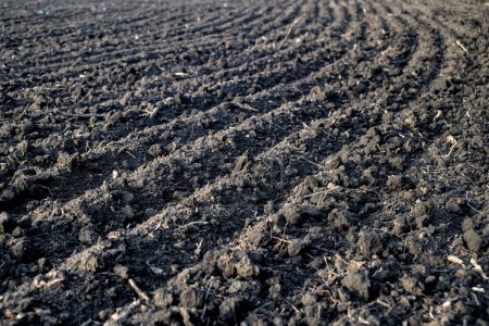 Plowed agricultural field, soil texture close-up. Rural scene. Farm and food industry, alternative energy and production, environmental conservation theme