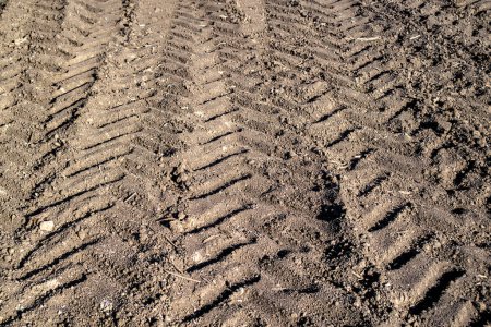 Photo for Track of a tractor on a plowed field - Royalty Free Image