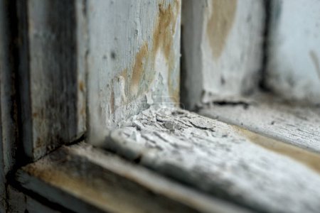Old wooden window frames with rotting wood and cracked peeling paint, house needs renovation and new frames closeup