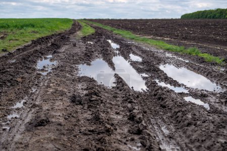 Mud and puddles on a dirt road in countryside