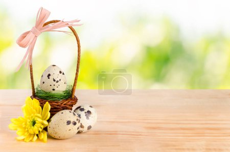 Téléchargez les photos : Un panier avec décor et œufs de caille, une fleur de chrysanthème est sur une table en bois. Fond flou. - en image libre de droit
