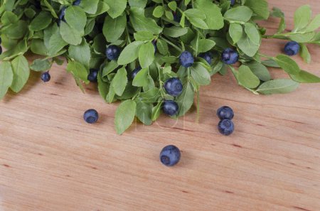 Téléchargez les photos : Bleuets sauvages frais sur les branches avec des baies et des feuilles sur la table en bois. - en image libre de droit