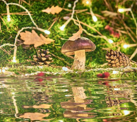 Foto de Un hongo Suillus marrón en el bosque, ubicado entre musgo verde e iluminado por una luz de guirnalda y reflejado en el agua. Un momento de bosque mágico, tranquilo y emocionante. - Imagen libre de derechos