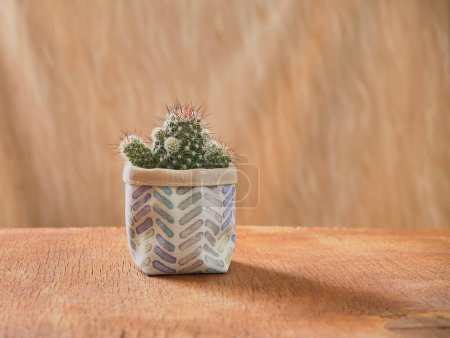 Photo for Fabric storage basket on the wooden table. Reversible cotton bin in boho style. Plant pot cover. - Royalty Free Image