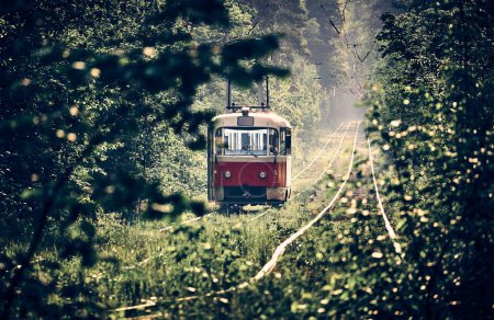 A tramway in nature. Iron rails in the forest. Tram Track.