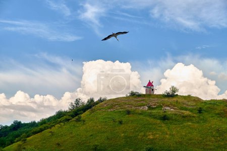 Stork flies towards windmill on green hill with a blue sky and white clouds. The stork is in the foreground of the image, and the windmill is in the background. The hill is covered in green grass, and the sky is a clear blue. There are a few white cl