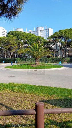 Palm tree in the middle of a roundabout. Surrounding the roundabout are towering buildings and lush trees, adding depth and dimension to the scene.