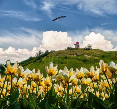 Téléchargez les photos : Champ vibrant de fleurs sauvages jaunes avec un oiseau en vol. Cigogne volant vers un moulin à vent sur une colline verte contre un ciel bleu avec des nuages duveteux. - en image libre de droit