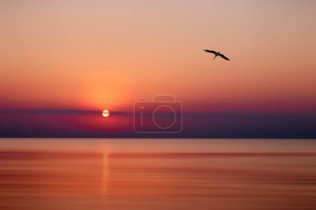 A serene sunset over a calm ocean with birds flying in the sky. Immersion in nature. The sun dips below the horizon, casting a warm glow over the landscape.