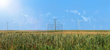 Bannière de la centrale électrique. Énergie de remplacement Concept de parc éolien. Des éoliennes dans le domaine du maïs, mettant en valeur les énergies renouvelables et l'agriculture durable.