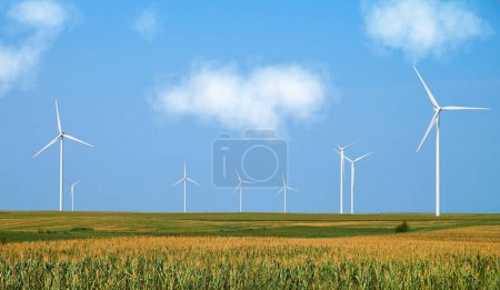 Electricity generating station. Alternative Energy Windmill Farm. Wind turbines standing tall in a field of corn under a clear blue sky, showcasing renewable energy and sustainable agriculture.