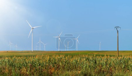Centrale électrique. Énergie de remplacement Parc éolien. Des éoliennes debout dans un champ de maïs sous un ciel bleu clair, mettant en valeur les énergies renouvelables et l'agriculture durable.