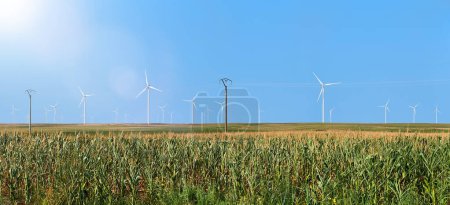 Bannière de la centrale électrique. Énergie de remplacement Parc éolien. Des éoliennes debout dans un champ de maïs sous un ciel bleu clair, mettant en valeur les énergies renouvelables et l'agriculture durable.