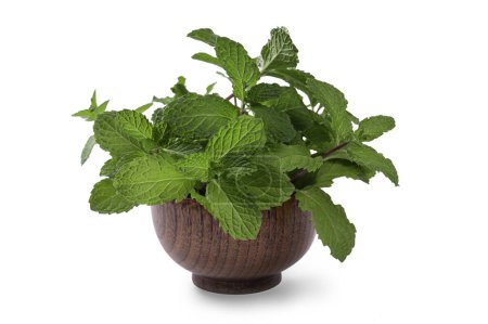 mint leaves in a wooden bowl. isolated on a white background.