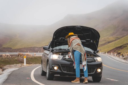 Une femme est debout à côté d'une voiture noire avec le capot levé. Elle porte un chapeau jaune et une écharpe bleue. La voiture est garée sur une route avec quelques moutons en arrière-plan. La scène est décontractée.
