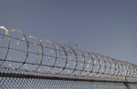 Photo for Barbwire perimeter fence. ensuring safety and security. jail wall. highly protected prison wall with barbed wire fence. steel grating fence. coiled razor wire with its sharp steel barbs. - Royalty Free Image