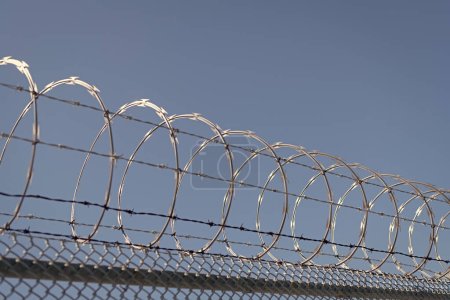 Photo for Jail wall. highly protected prison wall with barbed wire fence. steel grating fence. coiled razor wire with its sharp steel barbs on top of wire mesh perimeter fence. ensuring safety and security. - Royalty Free Image