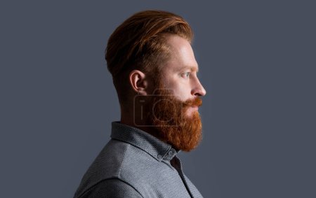 profile of bearded guy with long beard isolated on grey background. studio shot of bearded guy. beard care. handsome bearded guy has beard.
