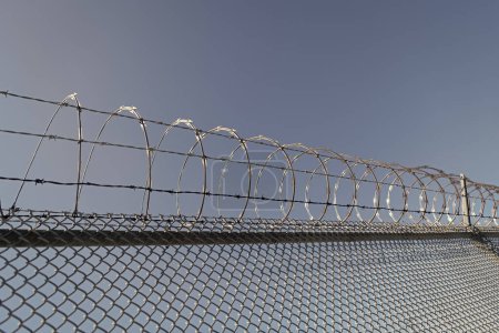 Photo for Coiled razor wire with its sharp steel barb. ensuring safety and security. barbwire. jail wall. highly protected prison wall with barbed wire fence. steel grating fence. - Royalty Free Image