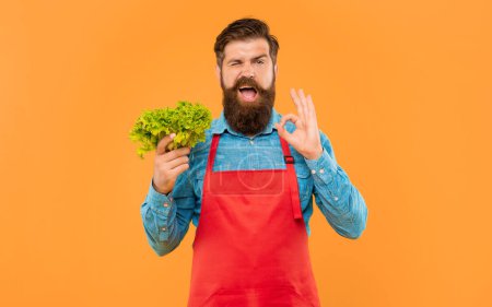 Photo for Winking man in apron showing OK holding fresh leaf lettuce yellow background, greengrocer. - Royalty Free Image
