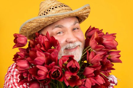 Photo for Happy old retired man portrait in hat hold spring tulip flowers on yellow background. - Royalty Free Image