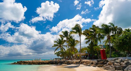 Photo for Panoramic view of summer vacation at beach seaside. photo of beach life summer vacation on island. summer vacation at the beach with palm trees. summer beach vacation at seascape. - Royalty Free Image
