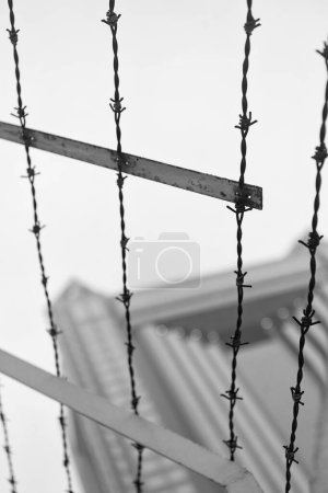 Foto de Strand structure of twisted metal barbwire barbed wire structure with sharp barbs outdoors. - Imagen libre de derechos