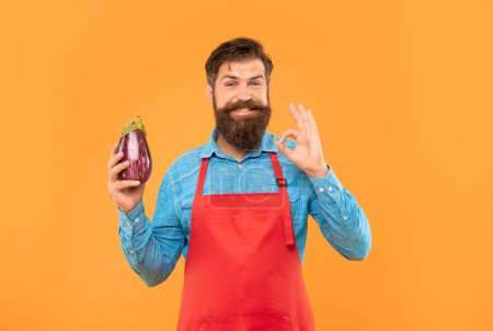 Photo for Happy man in apron showing OK gesture holding eggplant yellow background, greengrocer. - Royalty Free Image