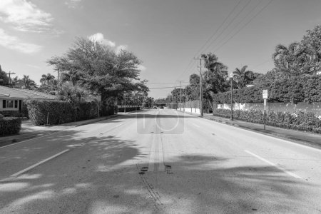Photo for Empty road with yellow marking on avenue way. - Royalty Free Image