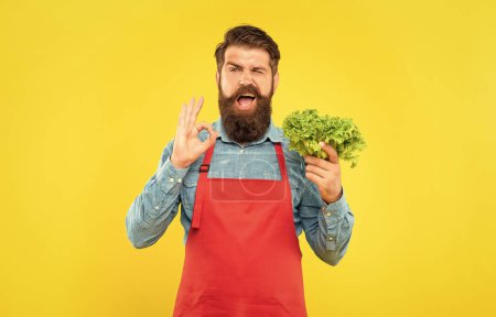Photo for Winking man in apron showing OK holding fresh leaf lettuce yellow background, greengrocer. - Royalty Free Image