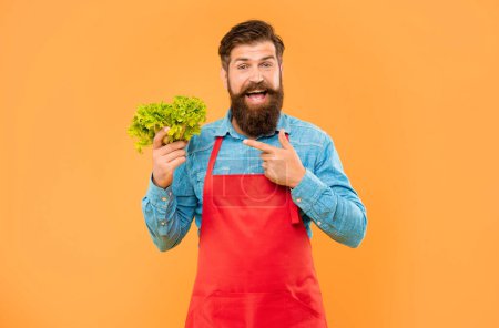 Photo for Happy man greengrocer in apron pointing finger at fresh leaf lettuce yellow background, shopkeeper. - Royalty Free Image