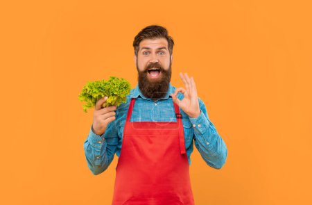 Foto de Hombre feliz en delantal mostrando OK celebración de hoja fresca lechuga fondo amarillo, verdulero. - Imagen libre de derechos