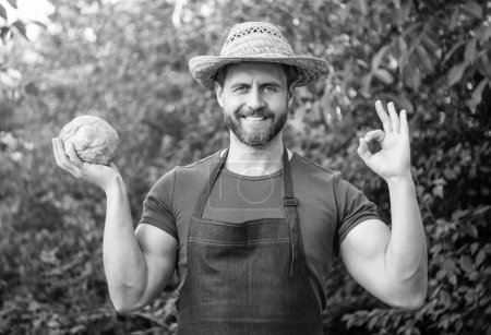 homme greengrocer en chapeau de paille avec des légumes au chou. OK..