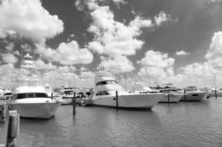 photo of summer harbour with yacht docked in row. yacht harbour in summer. yacht harbour in summer vacation. summer yacht in harbour.