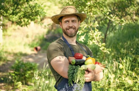 agriculturist in straw hat hold fresh ripe vegetables.