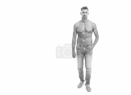 A man with physique poses shirtless showing muscular torso, banner. muscular man with torso isolated on white. shirtless man with muscular torso. fit and muscular man shows abs and torso in studio.
