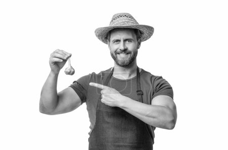 man in apron and hat with garlic vegetable isolated on white. point finger.