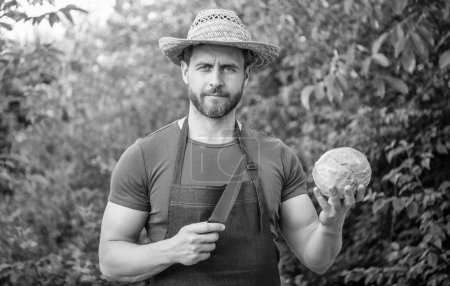 hombre granjero en paja sombrero cortar col con cuchillo.