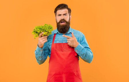 Foto de Hombre preocupado en delantal señalando con el dedo a la lechuga de hoja fresca fondo amarillo, vendedor de verduras. - Imagen libre de derechos