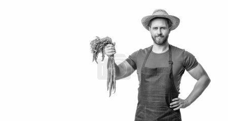 greengrocer in apron and hat with carrot vegetable isolated on white. copy space.
