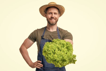 man in apron and hat with lettuce vegetable isolated on white. selective focus.