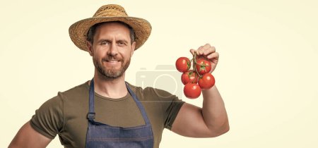 greengrocer in apron and hat with tomato bunch isolated on white.