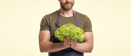 cropped view of man in apron with lettuce vegetable isolated on white.