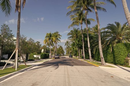 Téléchargez les photos : Route asphaltée avec marquage jaune et palmiers sur l'avenue. - en image libre de droit