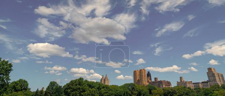 panorama panoramique paysage de parc central ny et architecture gratte-ciel. parc central urbain à vue sur le manhattan. Central Park de New York. ville nature paysage avec gratte-ciel. nyc et manhattan.